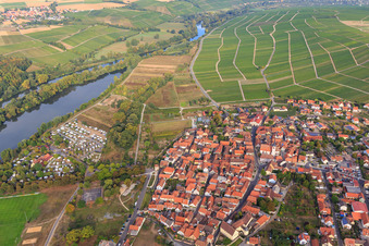 Vue aérienne de Vue de la ville sur le Main depuis le sud-est à Sommerach dans le département Bavière, Allemagne