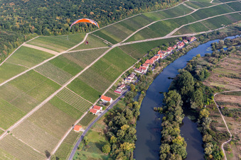 Vue aérienne de Vignobles sur la Main à Köhler à le quartier Köhler in Volkach dans le département Bavière, Allemagne