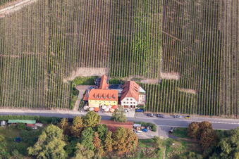 Vue aérienne de Restaurant en plein air Gasthaus Mainaussicht "Gifthütte à le quartier Escherndorf in Volkach dans le département Bavière, Allemagne