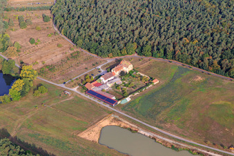 Vue aérienne de Elgersheimer Hof à le quartier Fahr in Volkach dans le département Bavière, Allemagne