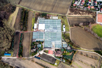Vue aérienne de Pépinière de géraniums à Hagenbach dans le département Rhénanie-Palatinat, Allemagne