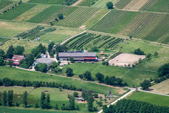 Vue aérienne de Heidbrunnerhof à Oberotterbach dans le département Rhénanie-Palatinat, Allemagne