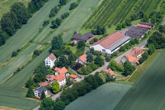 Vue aérienne de Rue principale à Hergersweiler dans le département Rhénanie-Palatinat, Allemagne