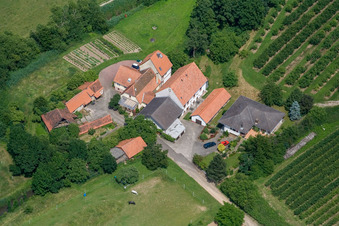 Vue aérienne de Moulin sur l'Erlenbach à Winden dans le département Rhénanie-Palatinat, Allemagne