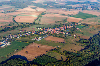 Photographie aérienne de Pfalzweyer dans le département Bas Rhin, France