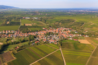 Vue aérienne de Vue du village entre les vignes depuis le sud-ouest à Göcklingen dans le département Rhénanie-Palatinat, Allemagne