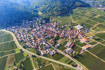 Vue aérienne de Aperçu du village viticole entre les vignobles de l'est à Eschbach dans le département Rhénanie-Palatinat, Allemagne