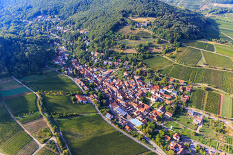 Vue aérienne de Aperçu du village viticole entre les vignobles du sud-est à Leinsweiler dans le département Rhénanie-Palatinat, Allemagne