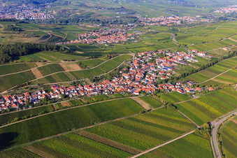 Vue aérienne de Aperçu du village viticole entre les vignobles du sud à Ranschbach dans le département Rhénanie-Palatinat, Allemagne