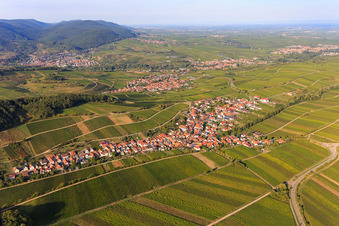 Photographie aérienne de Aperçu du village viticole entre les vignobles du sud à Ranschbach dans le département Rhénanie-Palatinat, Allemagne