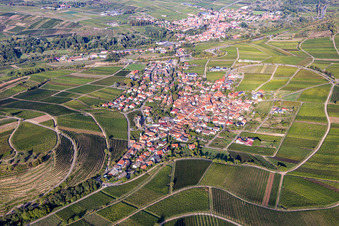 Vue aérienne de Birkweiler dans le département Rhénanie-Palatinat, Allemagne