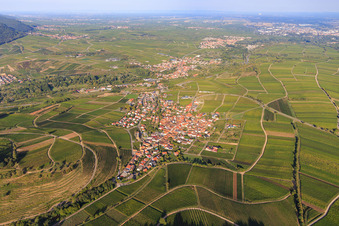 Vue aérienne de Aperçu du village viticole entre les vignobles du sud-ouest à Birkweiler dans le département Rhénanie-Palatinat, Allemagne