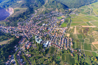 Vue aérienne de Vue d'ensemble du village viticole de la vallée de Queichtal entre les vignobles du sud à Albersweiler dans le département Rhénanie-Palatinat, Allemagne