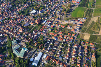Vue aérienne de Vue d'ensemble du village viticole de la vallée de Queichtal entre les vignobles du sud à Albersweiler dans le département Rhénanie-Palatinat, Allemagne