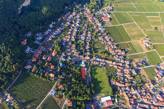 Vue aérienne de Aperçu du village viticole entre les vignobles du sud à Frankweiler dans le département Rhénanie-Palatinat, Allemagne