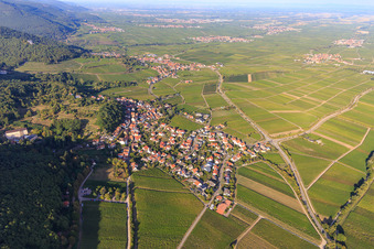 Vue aérienne de Aperçu du village viticole entre les vignobles du sud à Gleisweiler dans le département Rhénanie-Palatinat, Allemagne