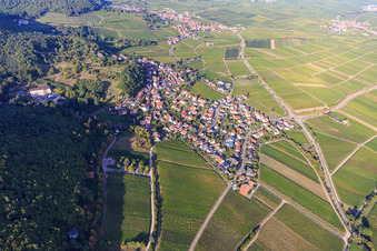 Vue aérienne de Aperçu du village viticole entre les vignobles du sud à Gleisweiler dans le département Rhénanie-Palatinat, Allemagne