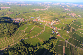 Vue aérienne de Vignoble Haardtrand-Annaberg à Burrweiler dans le département Rhénanie-Palatinat, Allemagne