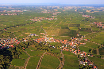 Vue aérienne de Vignoble Haardtrand-Annaberg à Burrweiler dans le département Rhénanie-Palatinat, Allemagne
