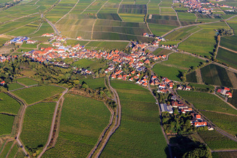 Photographie aérienne de Vignoble Haardtrand-Annaberg à Burrweiler dans le département Rhénanie-Palatinat, Allemagne