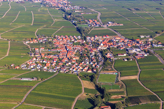Vue aérienne de Vue du village viticole entre les vignes depuis le sud à Hainfeld dans le département Rhénanie-Palatinat, Allemagne
