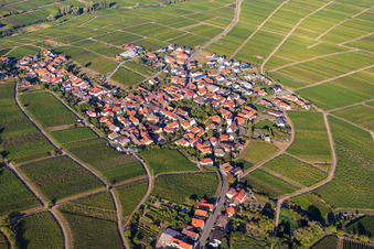 Vue aérienne de Vue du village viticole entre les vignes depuis le sud à Weyher in der Pfalz dans le département Rhénanie-Palatinat, Allemagne