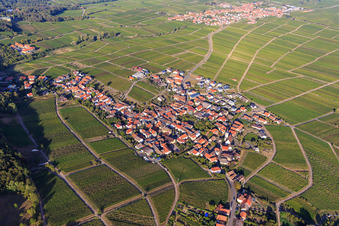 Vue aérienne de Vue du village viticole entre les vignes depuis le sud à Weyher in der Pfalz dans le département Rhénanie-Palatinat, Allemagne
