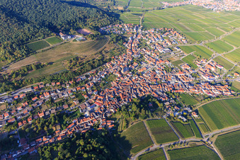 Vue aérienne de Aperçu du village viticole entre les vignobles du sud à le quartier SaintMartin in Sankt Martin dans le département Rhénanie-Palatinat, Allemagne