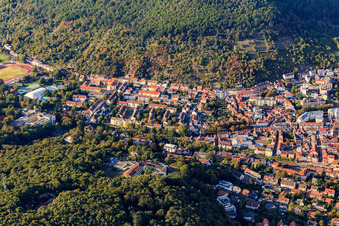 Vue aérienne de Quartier de Schöntal dans le Speyerbachtal à Neustadt an der Weinstraße dans le département Rhénanie-Palatinat, Allemagne