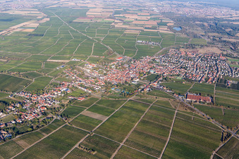 Vue aérienne de Mussbach à le quartier Mußbach in Neustadt an der Weinstraße dans le département Rhénanie-Palatinat, Allemagne