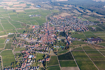 Vue aérienne de Mussbach à le quartier Mußbach in Neustadt an der Weinstraße dans le département Rhénanie-Palatinat, Allemagne