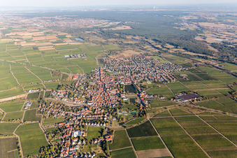 Photographie aérienne de Mussbach à le quartier Mußbach in Neustadt an der Weinstraße dans le département Rhénanie-Palatinat, Allemagne
