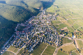 Vue aérienne de Vignobles en bordure du Haardt dans la forêt du Palatinat à le quartier Königsbach in Neustadt an der Weinstraße dans le département Rhénanie-Palatinat, Allemagne