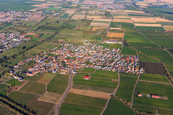Vue aérienne de Vue du village viticole entre les vignes depuis le sud-ouest à Ruppertsberg dans le département Rhénanie-Palatinat, Allemagne