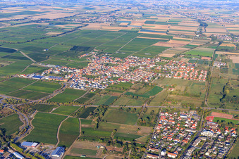 Vue aérienne de Vue du village viticole entre les vignes depuis le sud-ouest à Niederkirchen bei Deidesheim dans le département Rhénanie-Palatinat, Allemagne