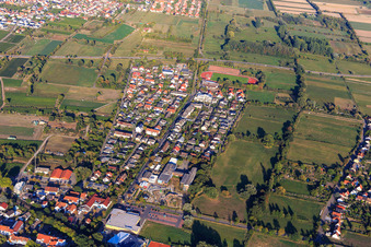 Vue aérienne de Mayor-Oberhettinger-Straße à Deidesheim dans le département Rhénanie-Palatinat, Allemagne