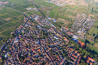 Vue aérienne de Vue d'ensemble de la ville depuis le sud à Deidesheim dans le département Rhénanie-Palatinat, Allemagne