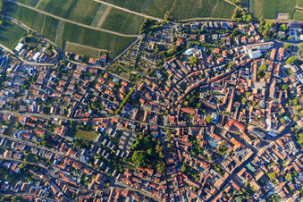 Vue aérienne de Parc Buhl à Deidesheim dans le département Rhénanie-Palatinat, Allemagne