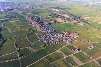 Vue aérienne de Vue du village viticole entre les vignes depuis le sud à Forst an der Weinstraße dans le département Rhénanie-Palatinat, Allemagne