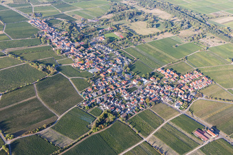 Vue aérienne de Champs viticoles et terres agricoles à Forst an der Weinstraße dans le département Rhénanie-Palatinat, Allemagne