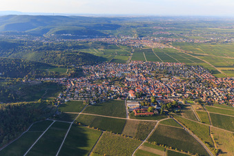 Vue aérienne de Vue du village viticole entre les vignes depuis le sud à Wachenheim an der Weinstraße dans le département Rhénanie-Palatinat, Allemagne