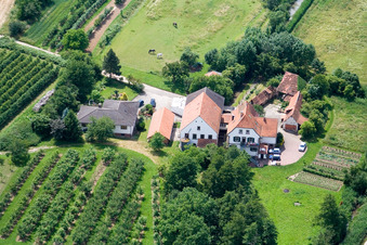 Vue oblique de Moulin sur l'Erlenbach à Winden dans le département Rhénanie-Palatinat, Allemagne