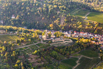 Vue aérienne de Wachtenburg (ruine « Burg Wachenheim ») à Wachenheim (Palatinat) à Wachenheim an der Weinstraße dans le département Rhénanie-Palatinat, Allemagne
