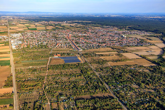 Vue aérienne de Vue de la ville depuis l'ouest à Haßloch dans le département Rhénanie-Palatinat, Allemagne