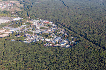 Vue aérienne de Zone industrielle Sud à Haßloch dans le département Rhénanie-Palatinat, Allemagne
