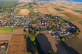 Vue aérienne de Vue de la ville depuis l'ouest à Knittelsheim dans le département Rhénanie-Palatinat, Allemagne