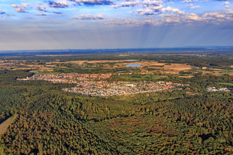 Vue aérienne de Vue de la ville au-delà du Bienwald depuis l'ouest à Jockgrim dans le département Rhénanie-Palatinat, Allemagne