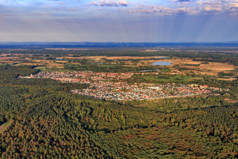 Vue aérienne de Vue de la ville au-delà du Bienwald depuis l'ouest à Jockgrim dans le département Rhénanie-Palatinat, Allemagne