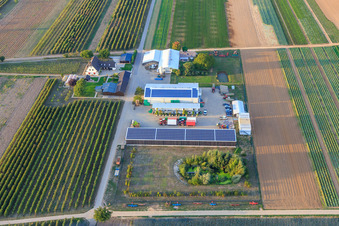 Vue aérienne de Agriculteur biologique Bauers Garden à Winden dans le département Rhénanie-Palatinat, Allemagne
