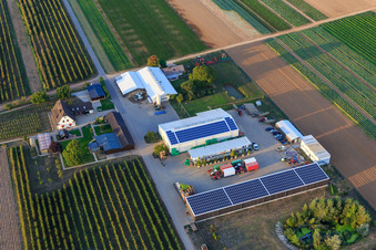 Vue aérienne de Agriculteur biologique Bauers Garden à Winden dans le département Rhénanie-Palatinat, Allemagne